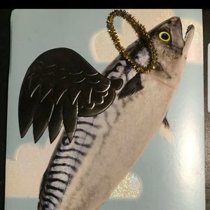 Meet your Posher, Jonhenry